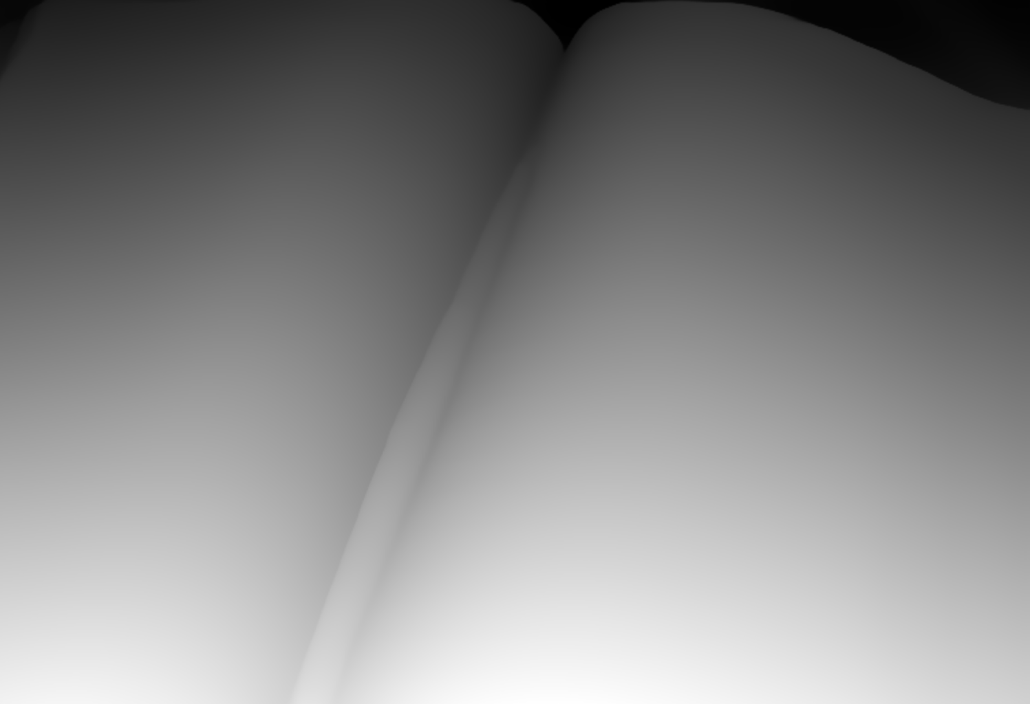 Preview of D ledger: depth map