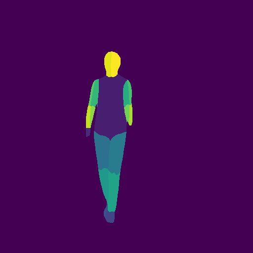Preview of P cleaner eve: dense pose map