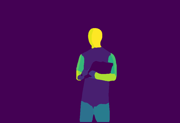 Preview of P ware young: dense pose map