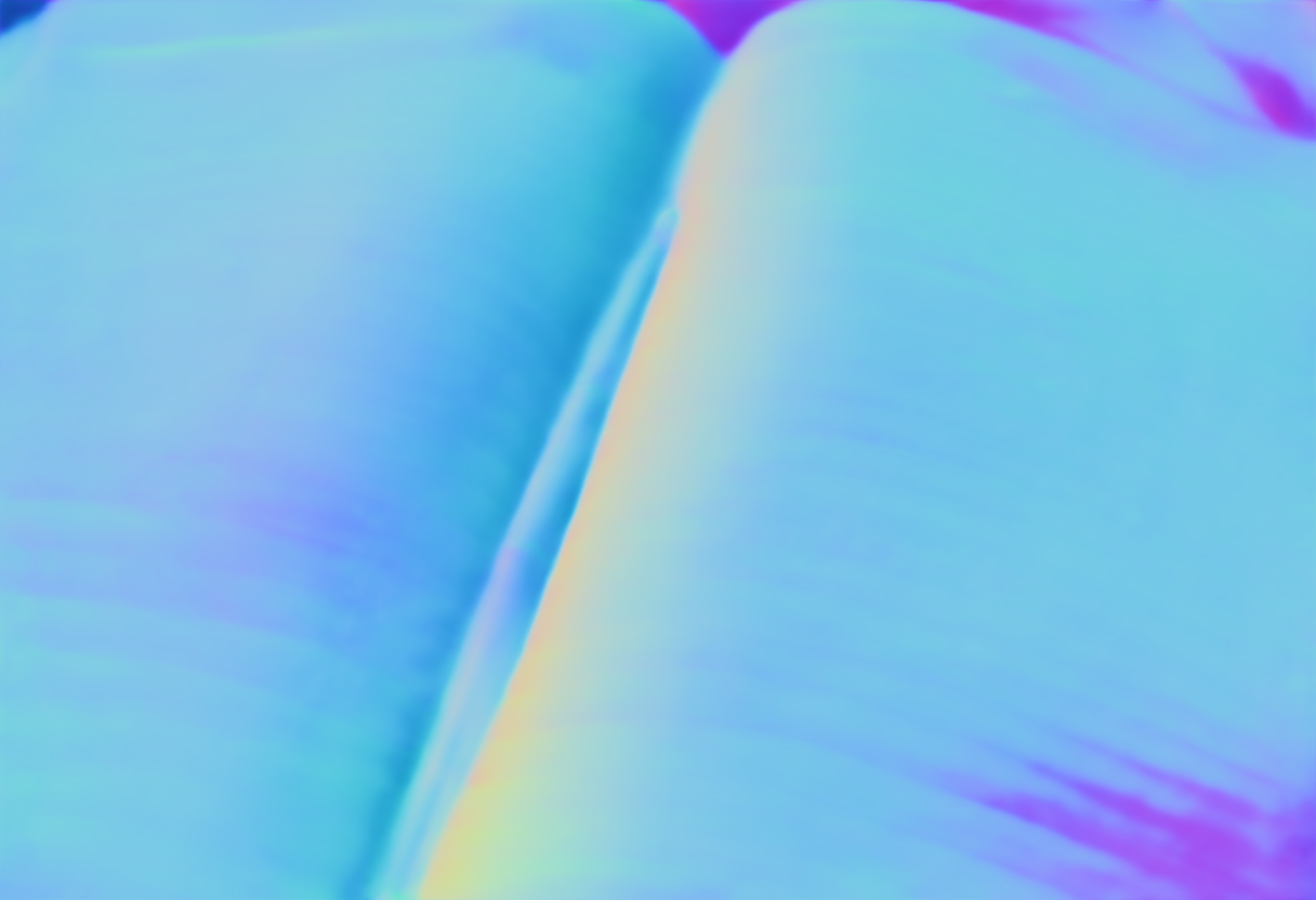 Preview of D ledger: surface normal map