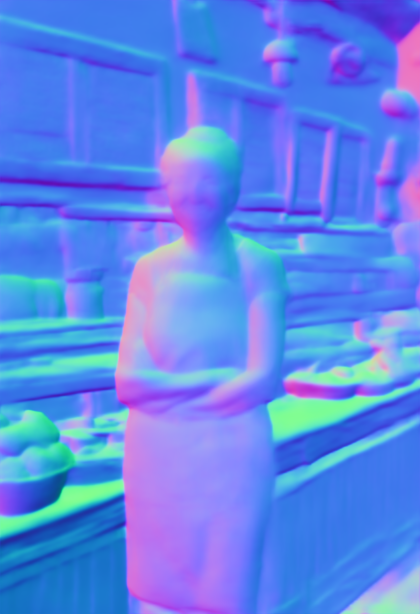 Preview of Owner restaurant: surface normal map