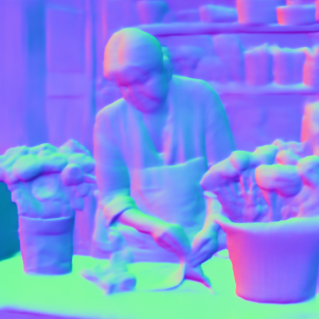 Preview of P florist sen: surface normal map