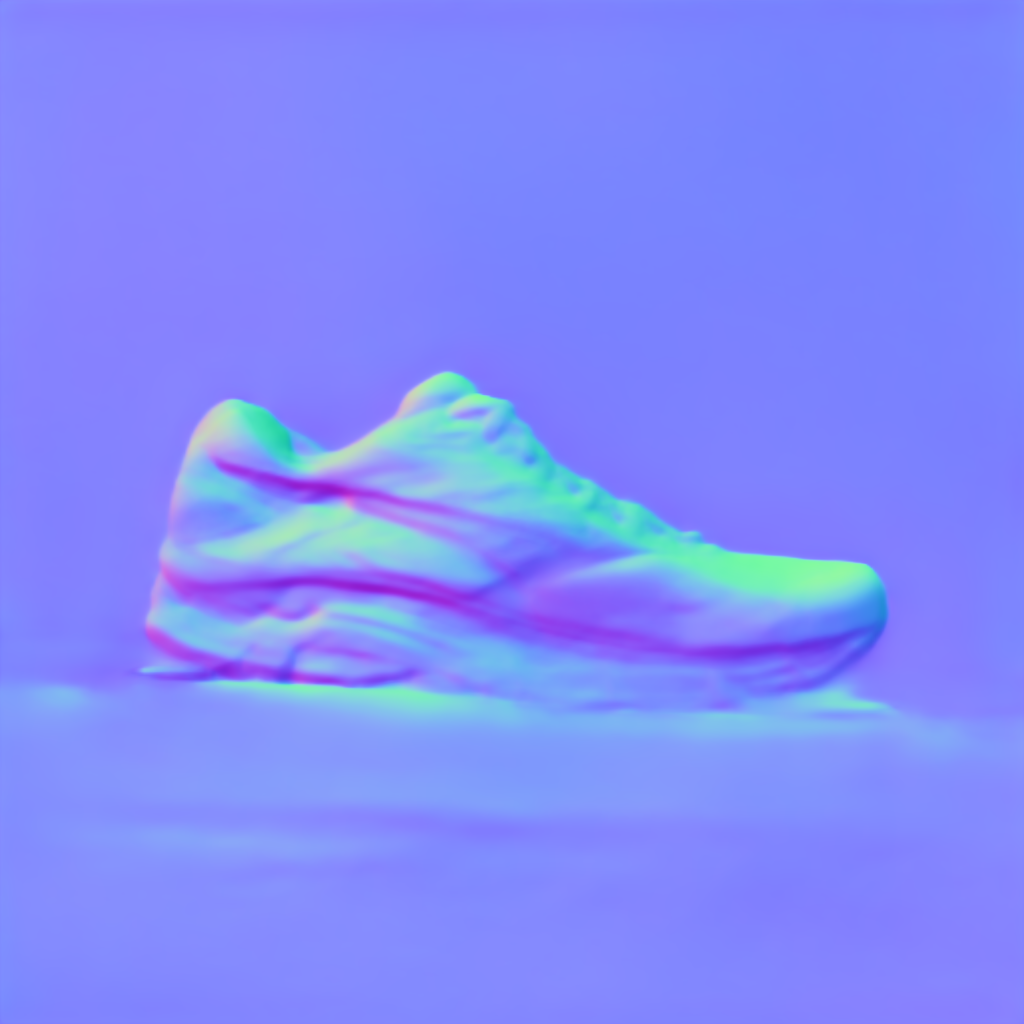 Preview of Pr shoe: surface normal map