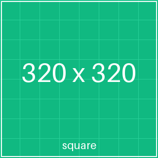 Preview of Placeholder 320×320 (square)