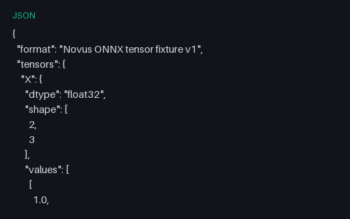 Preview of ONNX Inference Contract - Dynamic-Batch ReduceSum Input