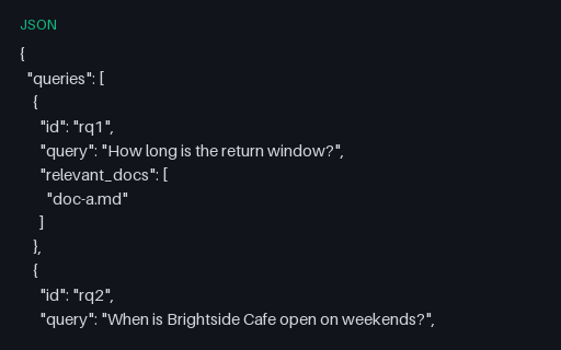 Preview of Mini RAG Queries (JSON)