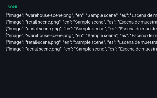 Preview of Multilingual Captions — Parallel (JSONL)