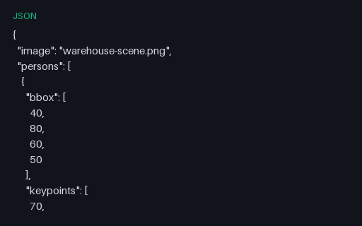Preview of Detection Keypoint Annotations (JSON)
