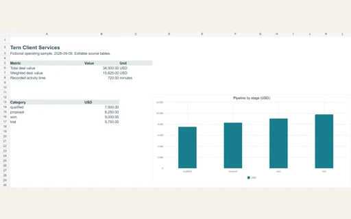 Preview of Tern Client Services — Editable operating workbook