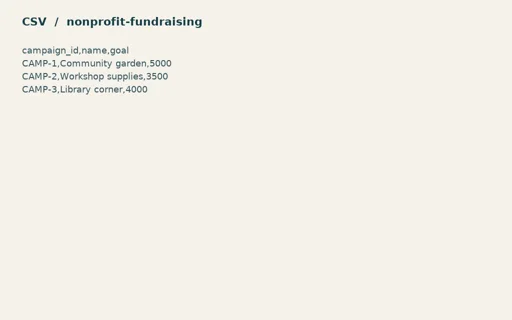 Preview of Willow Community Fund — Generic primary records CSV