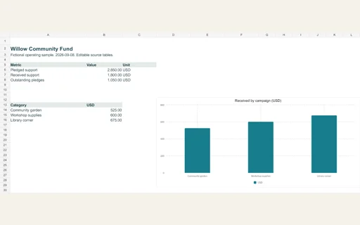 Preview of Willow Community Fund — Editable operating workbook