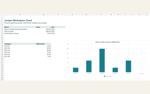 Preview of Juniper Workspace Cloud — Editable operating workbook