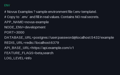 Preview of Environment File (.env template)