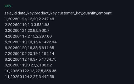 Preview of Star Schema — Sales Fact Table (CSV, 300 rows)