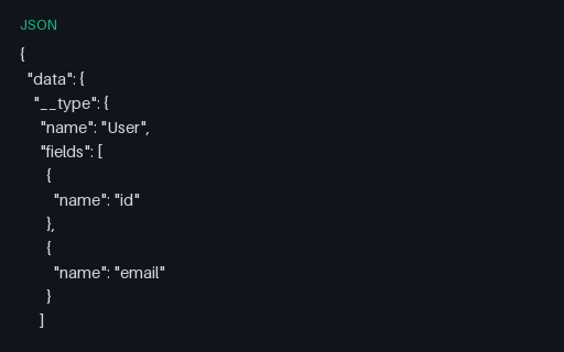 Preview of Graphql Introspection Fragment