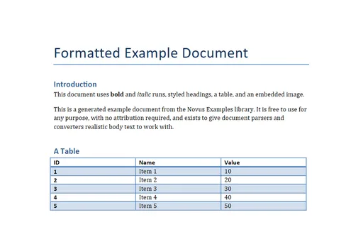 Preview of Formatted DOCX