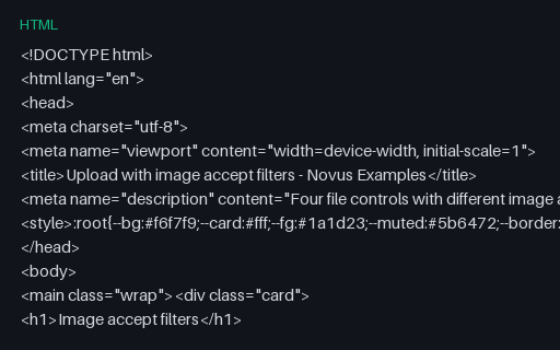 Preview of Upload: Image Accept Filters (HTML)