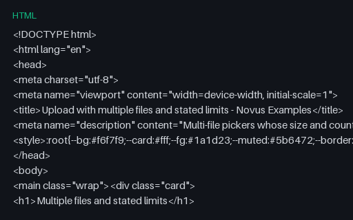 Preview of Upload: Multiple Files and Stated Limits (HTML)