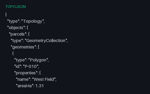 Preview of TopoJSON — Two Parcels Sharing One Arc