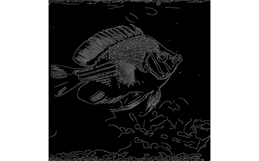 Preview of N fish tank: canny edge map