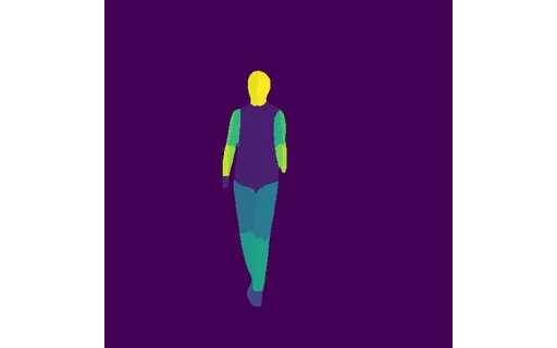 Preview of P cleaner eve: dense pose map