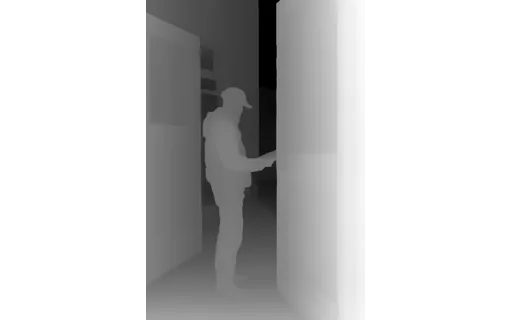 Preview of P driver eve: depth map