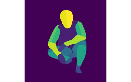 Preview of P farmer field: dense pose map