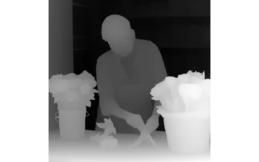 Preview of P florist sen: depth map