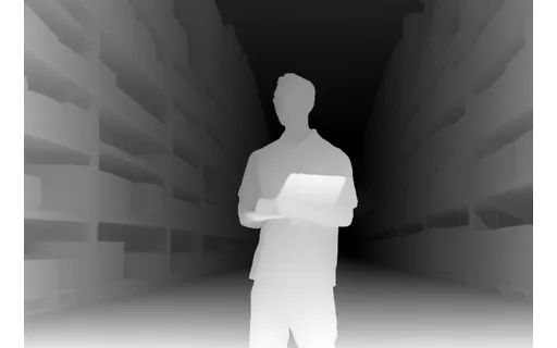 Preview of P ware young: depth map