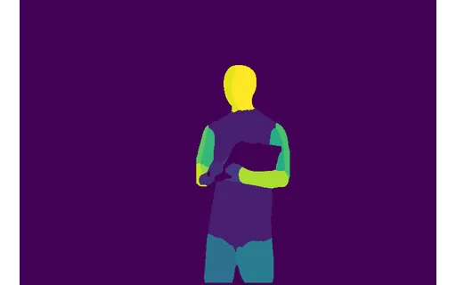 Preview of P ware young: dense pose map