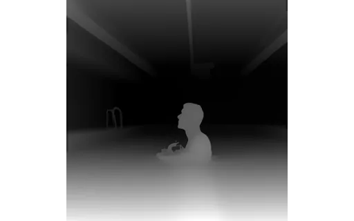 Preview of Sp swimmer: depth map