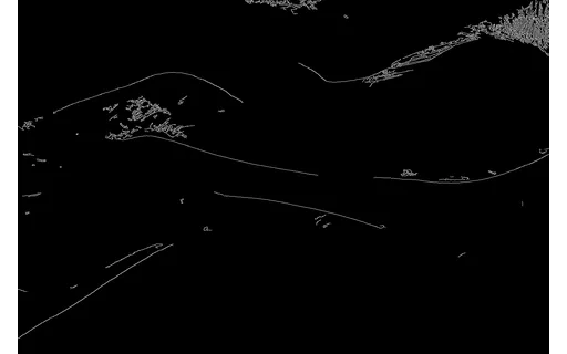 Preview of T mesh grad: canny edge map