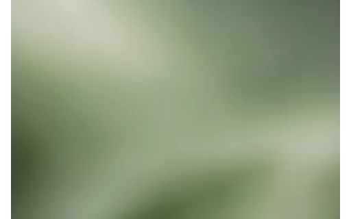 Preview of Soft blurred abstract background (lossless PNG)