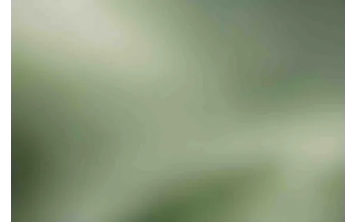Preview of Soft blurred abstract background (JPEG q25)