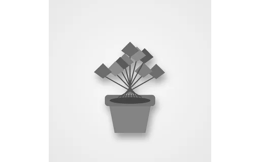 Preview of Colourization Input — Plant Greyscale (512px)