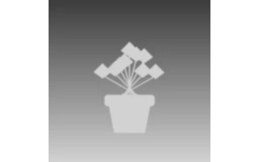 Preview of Conditioning Map — Plant Depth Map (512px)