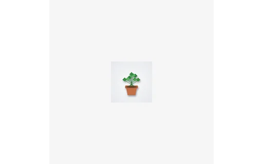Preview of Outpaint Input — 192px Empty Border (512px)