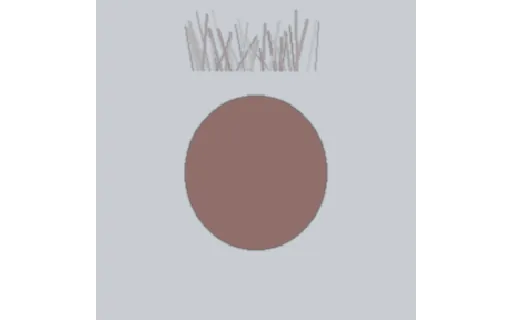 Preview of Matting — Hair Strands Clean RGB (288px)