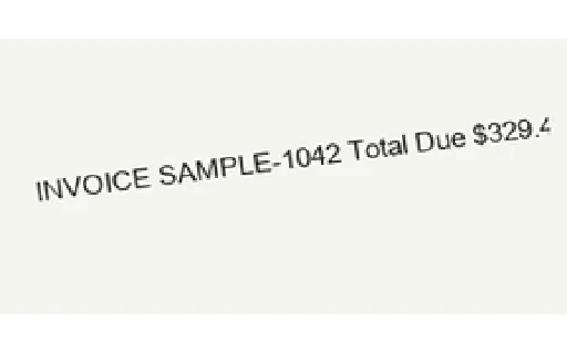 Preview of OCR Hard — Skew Invoice