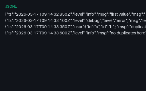 Preview of Structured Log — Duplicate Keys in One JSON Object (jsonl)
