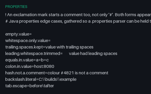 Preview of Java Properties Parser Edge Cases