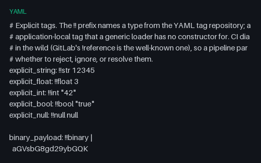 Preview of YAML Explicit and Local Tags