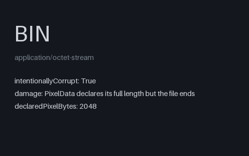 Preview of Intentionally Corrupt DICOM-Shaped File — Pixel Data Truncated (.bin)