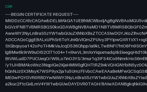 Preview of SAMPLE CSR — RSA with SAN