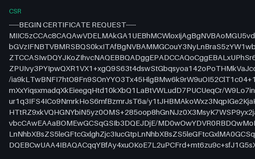 Preview of SAMPLE CSR — Wildcard