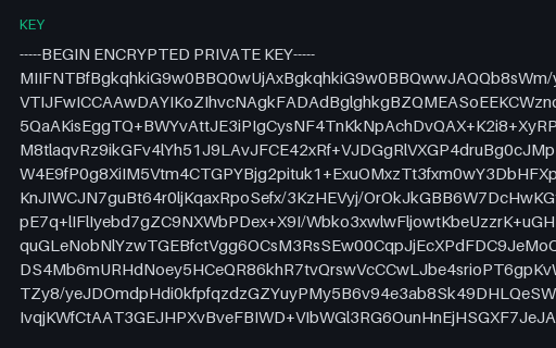 Preview of SAMPLE RSA Private Key — PKCS#8, Encrypted