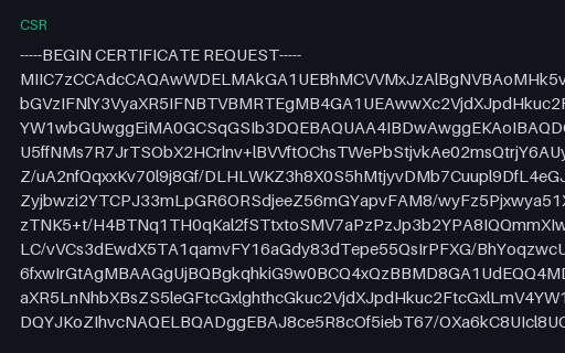 Preview of PKCS#10 CSR — Security SAMPLE