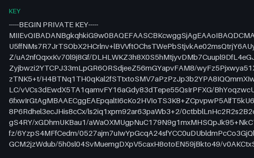 Preview of RSA-2048 Private Key (PEM) — SAMPLE