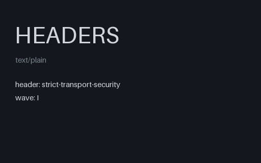 Preview of Security Header — Strict Transport Security