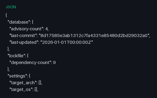 Preview of cargo-audit Report (JSON)